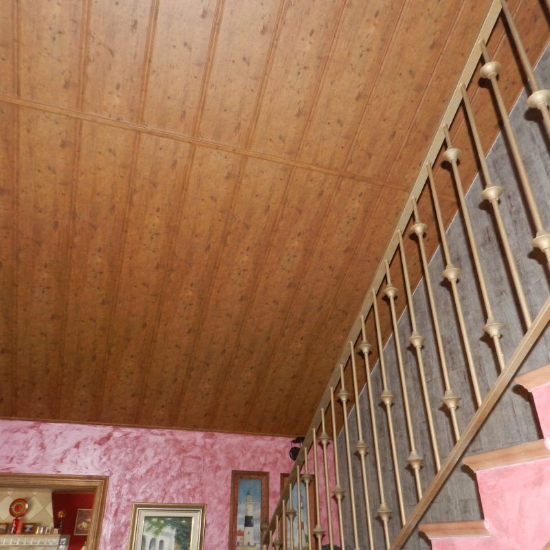 TECHO DE MADERA Y PAREDES PISTACHO ETC, NICOLAS (22) 05