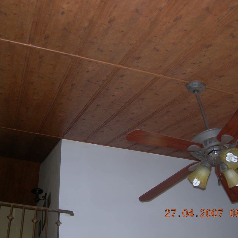 TECHO DE MADERA Y PAREDES PISTACHO ETC, NICOLAS (45) 06